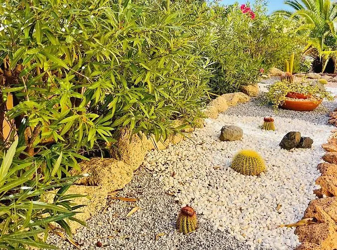 Terraza Del Mar Costa Adeje (Tenerife)