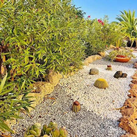Terraza Del Mar Адехе